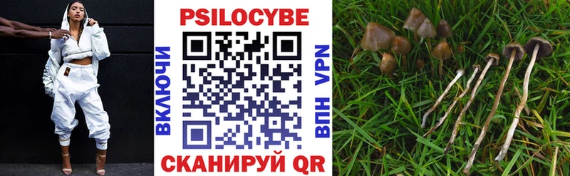 Псилоцибиновые грибы MAGIC MUSHROOMS  Пласт 